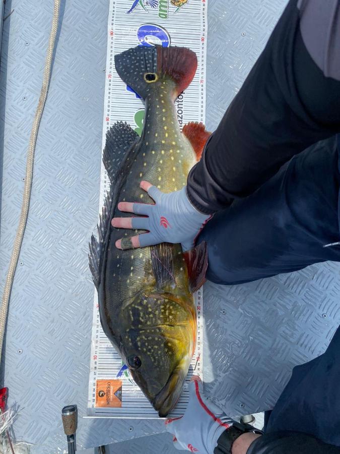 Tucunare Sport Fishing Hotel Itacoatiara  Kültér fotó